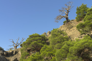 Similar image 21240293