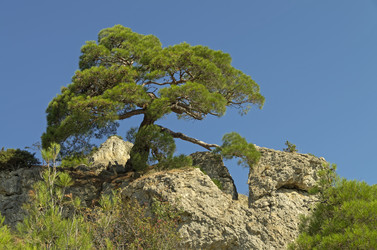 Similar image 21240294