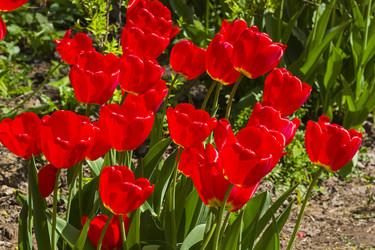 Similar image 21240296