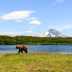 Similar image 21239981