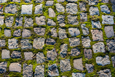 Similar image 21239987