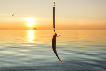 Similar image 21239992