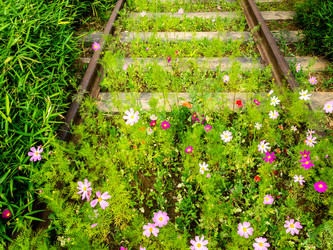 Similar image 21239996