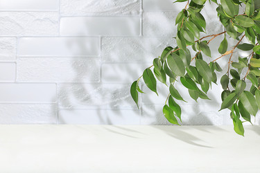 Similar image 21240932