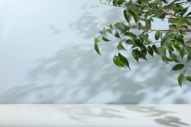 Similar image 21240933