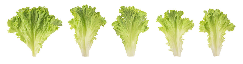 Similar image 21249625