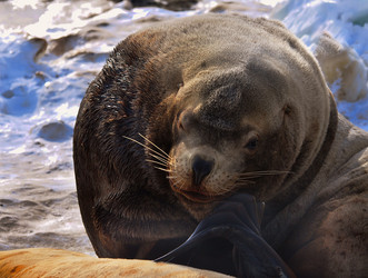 Similar image 21251425