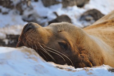 Similar image 21251426