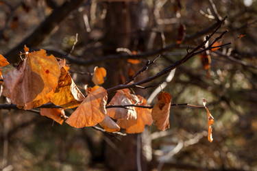 Similar image 21250071