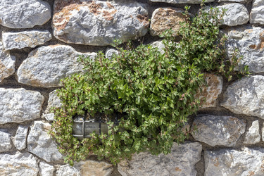 Similar image 21250074