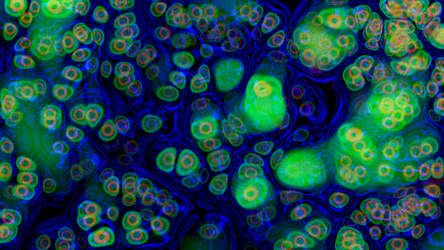 Similar image 21240220