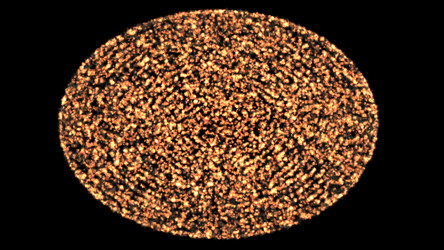 Similar image 21240470