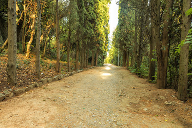 Similar image 21240583