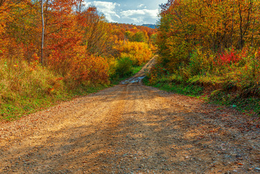 Similar image 21240584