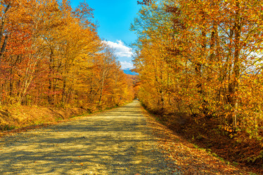 Similar image 21240585