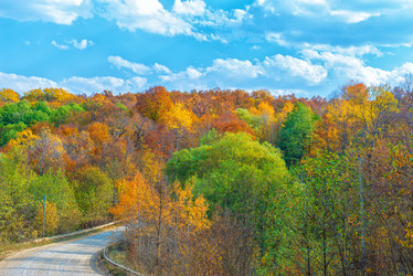 Similar image 21240590