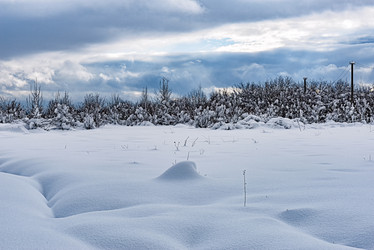 Similar image 21240594