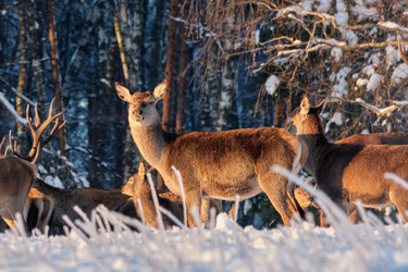 Similar image 21245458