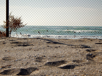 Similar image 21241182