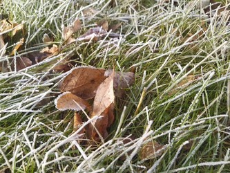 Similar image 21240975