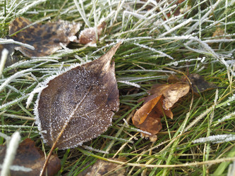 Similar image 21240976