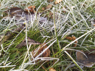 Similar image 21240977