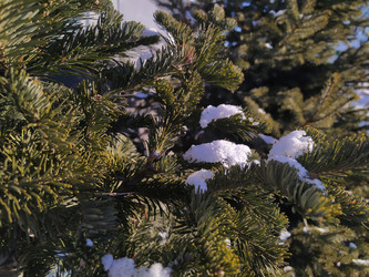 Similar image 21240979