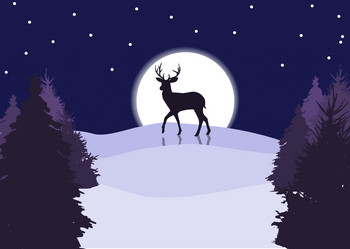 Similar image 21240996