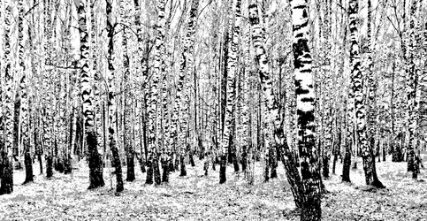 Similar image 21240502