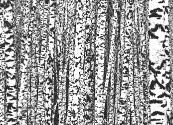 Similar image 21240503