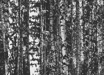 Similar image 21240505