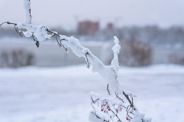 Similar image 21241123