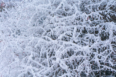 Similar image 21241124