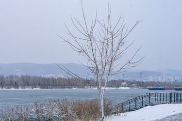 Similar image 21241125