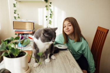 Similar image 21240248