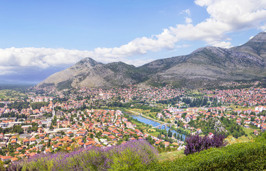 Similar image 21240534