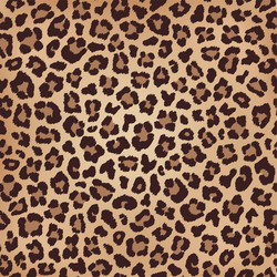 Similar image 21241674