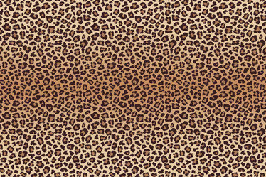 Similar image 21241677