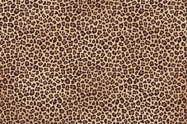 Similar image 21241680