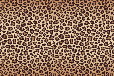 Similar image 21241681