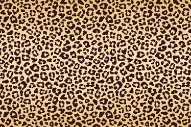 Similar image 21241704