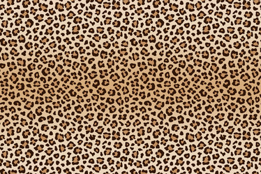 Similar image 21241707