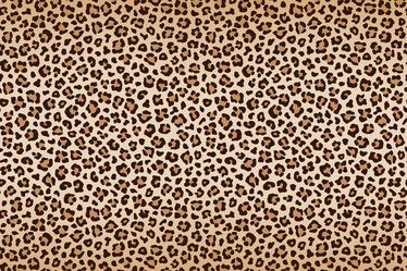 Similar image 21241708