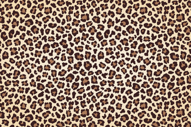 Similar image 21241719