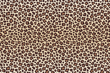 Similar image 21241720