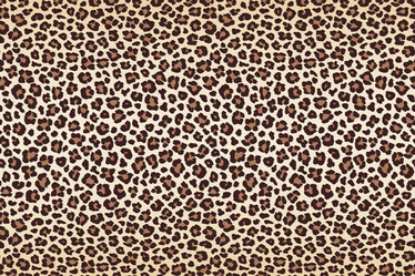 Similar image 21241721