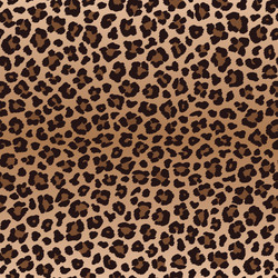 Similar image 21241722