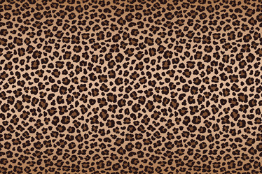 Similar image 21241723