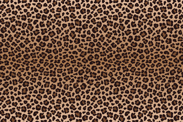 Similar image 21241630