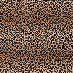 Similar image 21241632